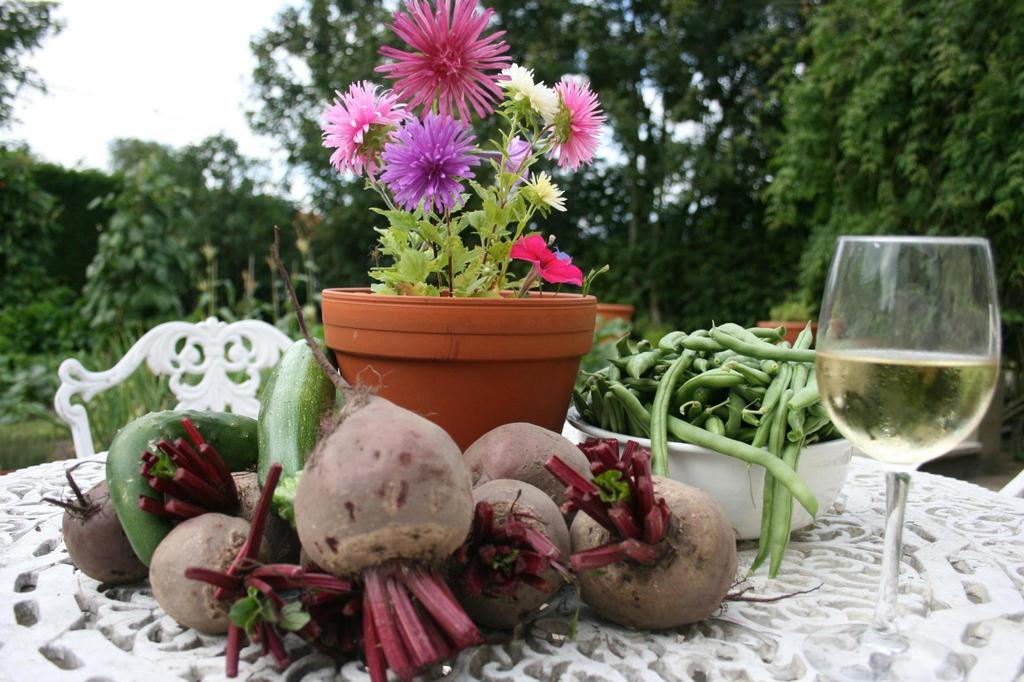 Hermelinghen Au Petit Bled Bed & Breakfast エクステリア 写真